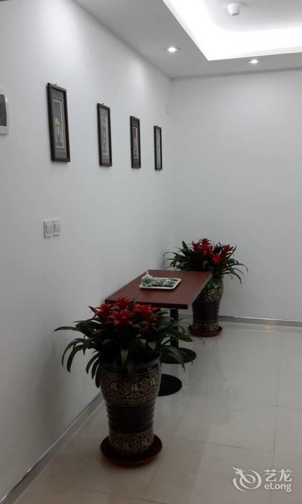 Hanting Express Qingdao South Chongqing Road Exteriör bild